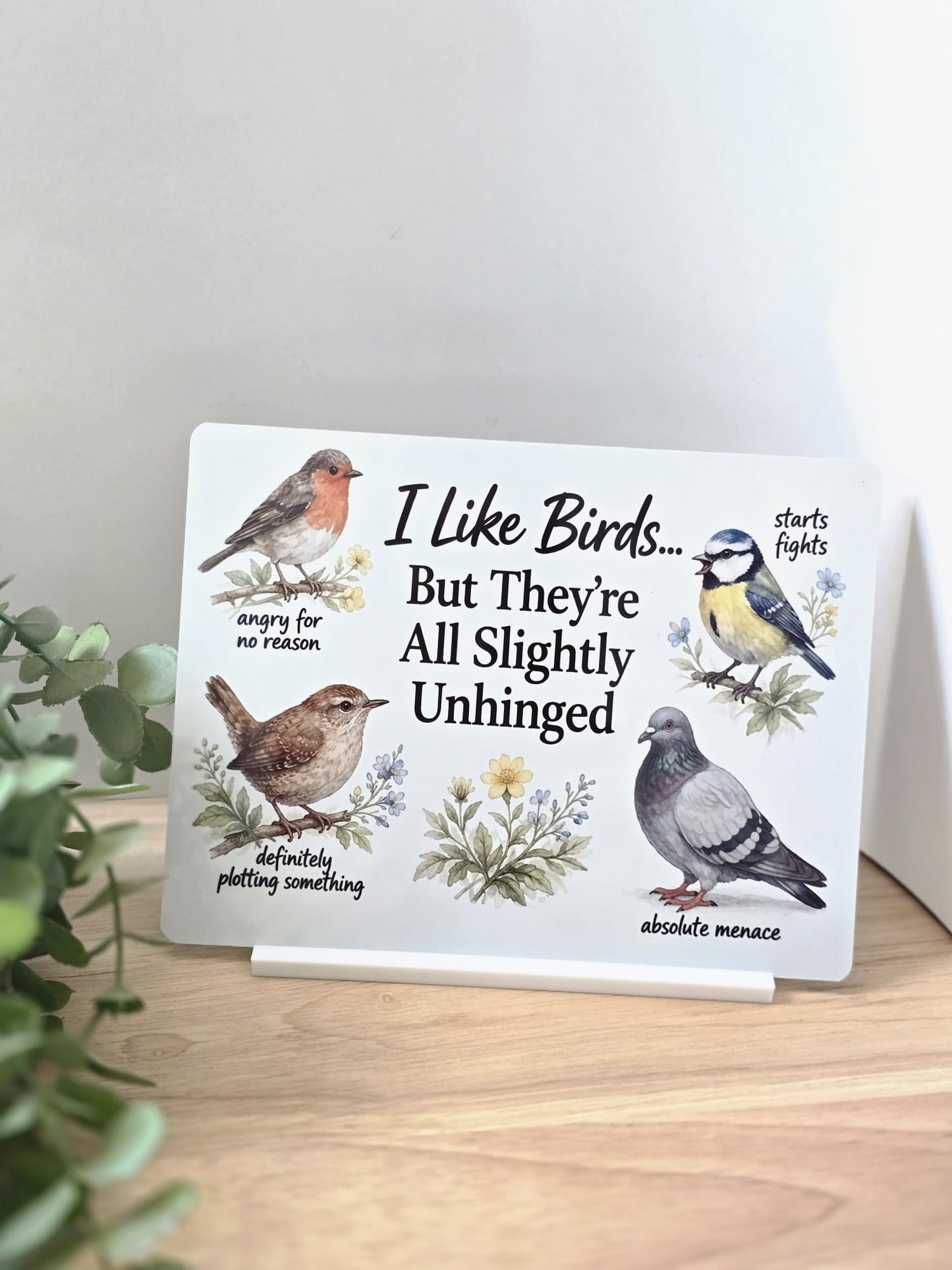 Funny Bird Metal Sign – I Like Birds But They’re All Slightly Unhinged