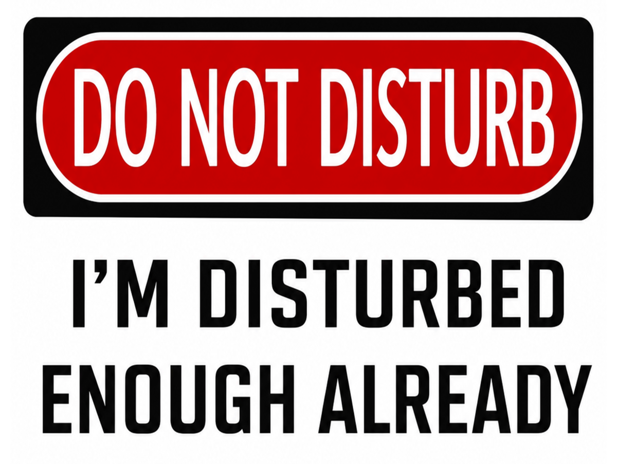 Do Not Disturb Metal Sign – I’m Disturbed Enough Already Plaque