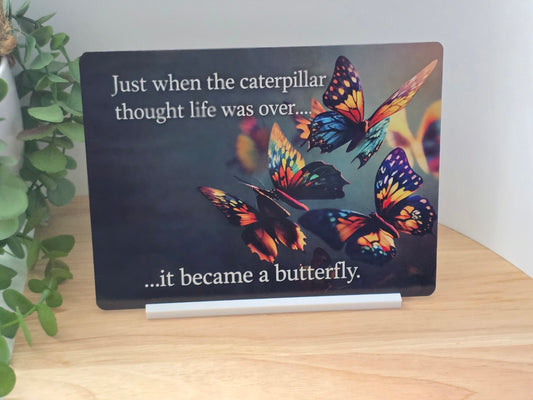 Just When the Caterpillar Thought Life Was Over Metal Sign – Butterfly Inspirational Wall Art – Transformation Quote Decor – 200x150mm