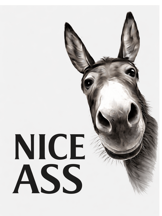 Funny Donkey Sign – Nice Ass Animal Joke Sign | Humorous Home Decor
