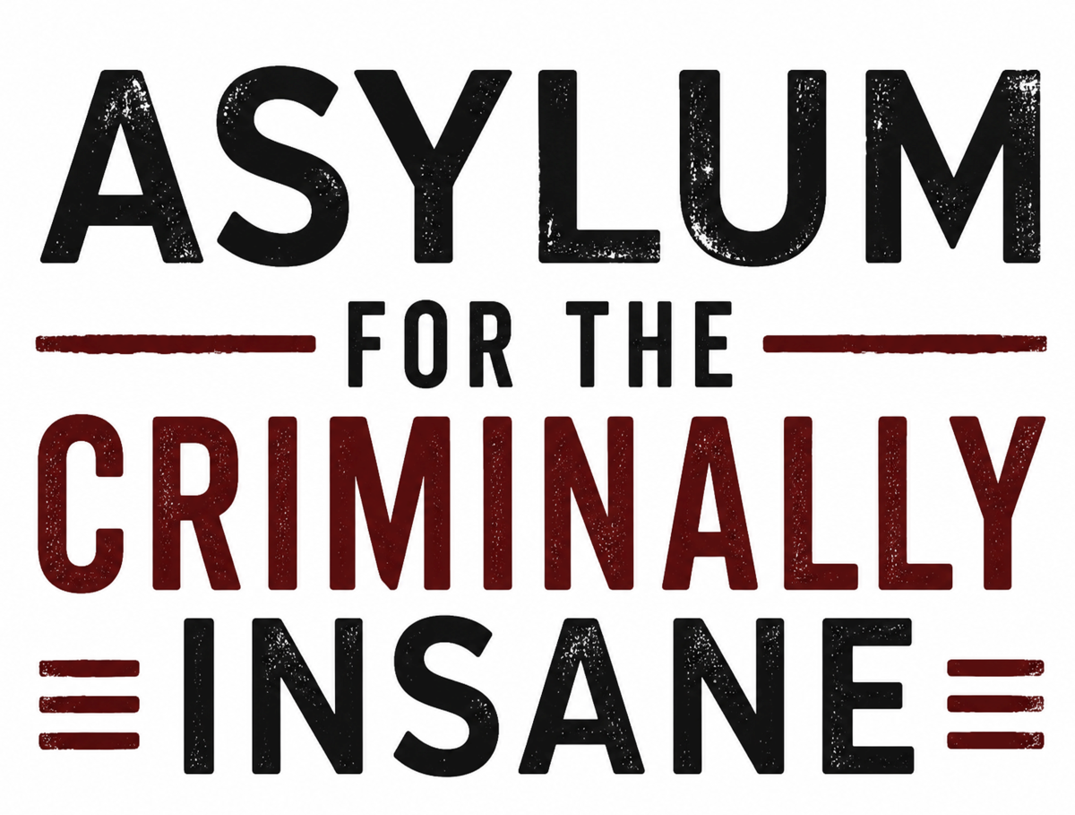 Asylum For The Criminally Insane Metal Sign – Funny Dark Humour Plaque