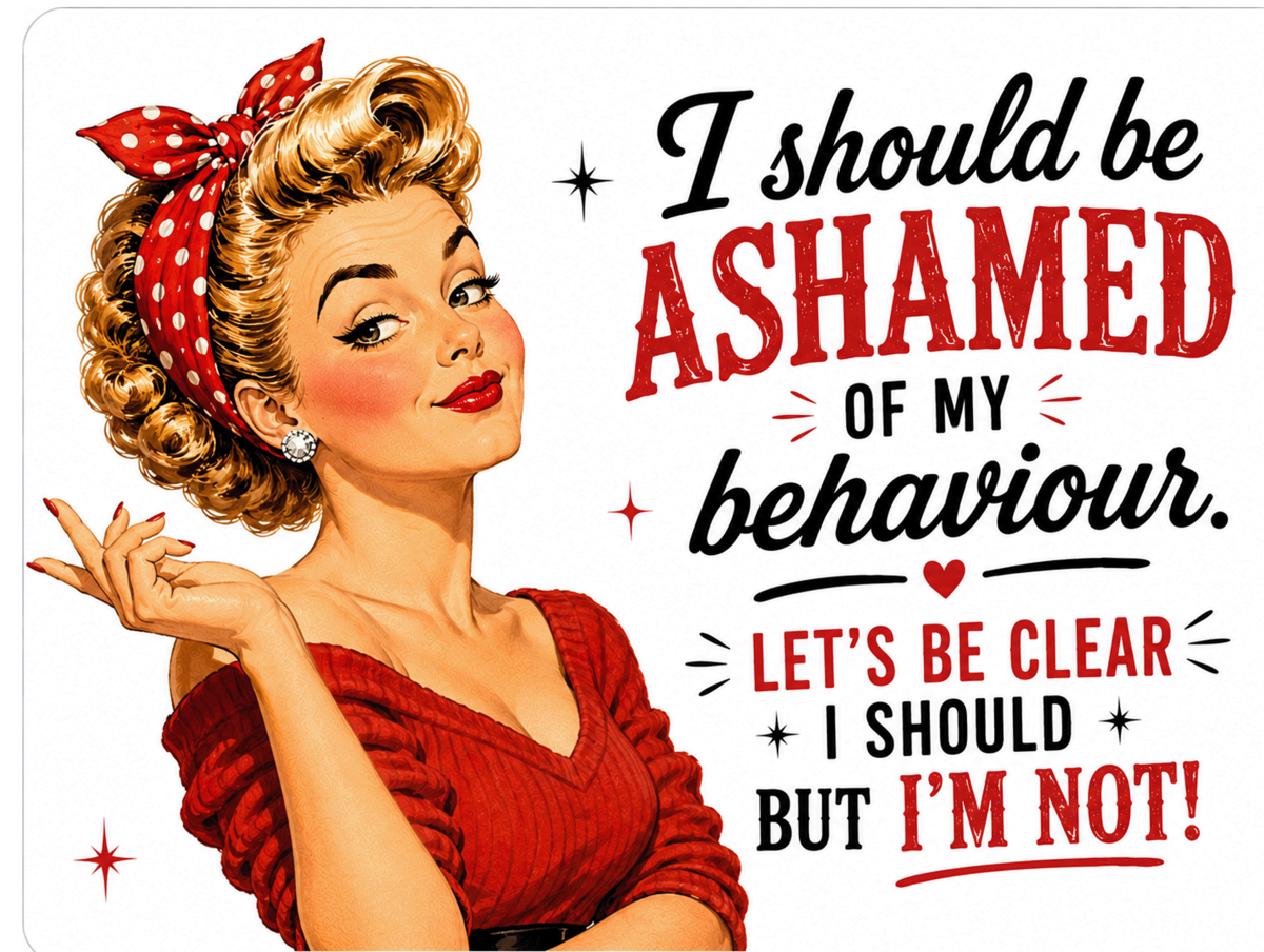 Funny Retro Metal Sign – I Should Be Ashamed Of My Behaviour